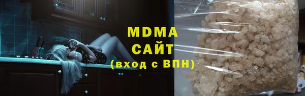 прущие грибы Алзамай
