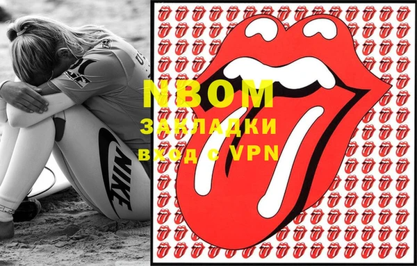 прущие грибы Алзамай