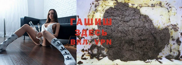прущие грибы Алзамай