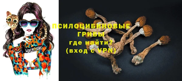 прущие грибы Алзамай