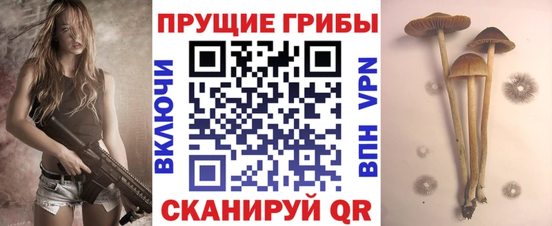 Псилоцибиновые грибы прущие грибы  купить наркотики сайты  Цимлянск 